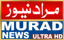 Untitled design (18)